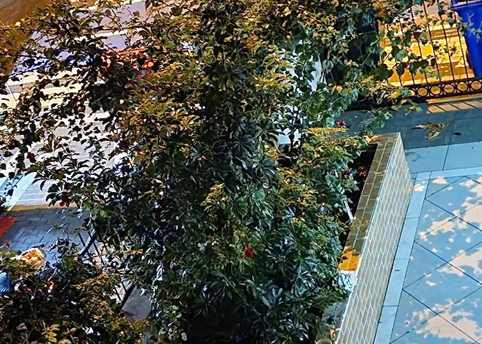 Cleopatra Hotel